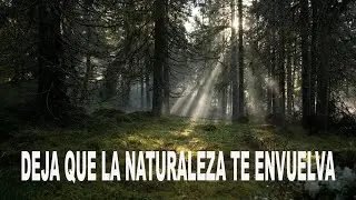 DEJA QUE LA NATURALEZA TE ENVUELVA - GRAN CANARIA - ISLAS CANARIAS