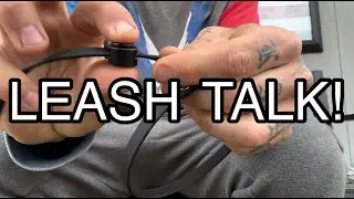 LEASH TALK WITH TEAM FLOPPY EARS CEO
