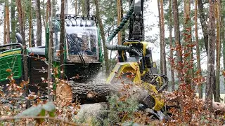 John Deere 1270G Harvester im Starkholz & John Deere 1110E Forwarder