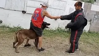 Dog trainer:  Mr Gilbert Gapit with K9 master Mr Nicor lord