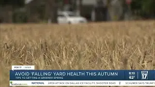 Fall Lawn Care