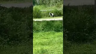 My neighbors suck! lol