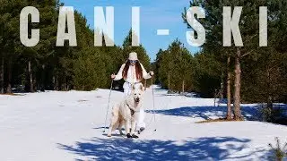 JE TESTE LE CANI-SKI AVEC MON CHIEN !