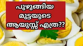 പുഴുങ്ങിയ മുട്ടയുടെ ആയുസ്സ് എത്ര?|പുഴുങ്ങിയ മുട്ട കഴിക്കുമ്പോൾ സൂക്ഷിക്കുക|Mallus Happy Health