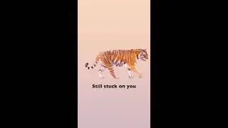 AmPm / Sorry That I Love You feat.brb. & Chocohoilic  (Vertical Video)