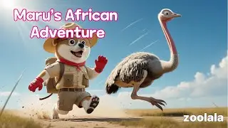 Maru&rsquo;s African Adventure | 마루의 아프리카 탐험 🦒🐘🌈 Kids Song & Adventure Story