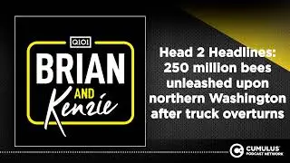 Head 2 Headlines: 250 million bees unleashed upon northern Washington after truck overturns