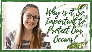 Why is it So Important to Protect Our Oceans? | Water Conservation | Lydia Ravenhall Photography