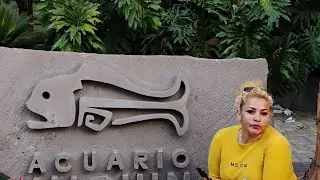 Acuario Michin 