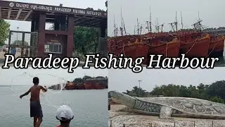 Paradeep Part 05 | Paradeep Fishing Harbour | Best Fishing Harbour In Odisha 🔥