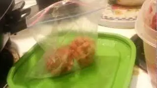 My Raw Ferret diet