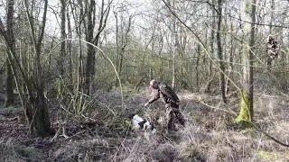 Gundog Training - Ace (20 month old Springer Spaniel)