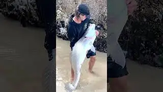 Мягкий пластик Monster Jewfish