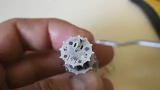 Inside a ECF80 vacuum tube