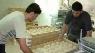 Qudorat Program I - Food Production Projects