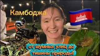 Куда сходить? Night market. Невероятная природа отдых в Kirirom resort 🇰🇭