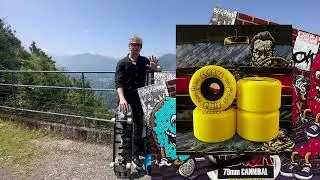 Earthwing Skateboards - Summer Newsletter 2023