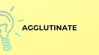 What is the meaning of the word AGGLUTINATE?