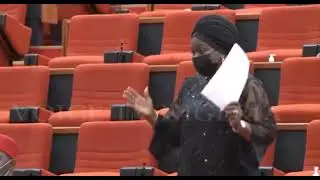 female Senator Confront others with truth On  insecurity In Nigeria