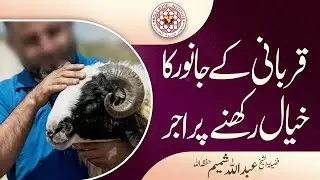 Qurbani kay Janwar ka Khayal Rakhne Par Ajar I By Sheikh Abdullah Shamim