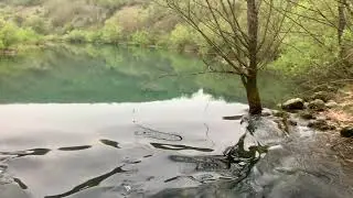 RIJEKA DABAR