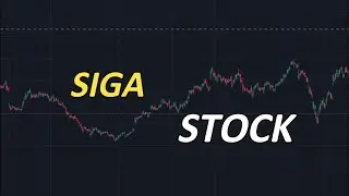 SIGA Stock Technical analysis 26 November SIGA Stock News Today