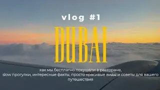 DUBAI VLOG: нам закрыли счет, красивые места, впечатления и цены, а еще советы для будущих туристов