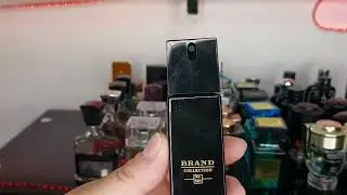 COLEÇÃO DE BRAND COLLECTION  MASCULINO