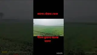 morning nature #morningvillage #viral #trending #viralmorningstatus #villagenature