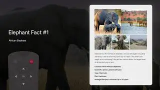 Google TV & Android TV INTERACTIVE powered by WIREWAX
