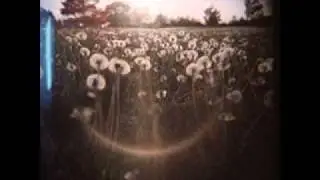 My Autumn Empire    -    Walking Away