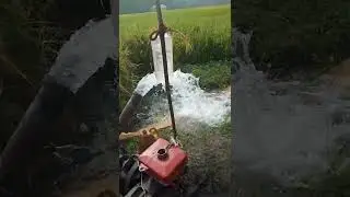 water and full water pump more China and CD China engine work well system water pump mechanis shorts