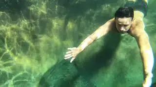 SOMETHING SOMEWHERE- NATURE