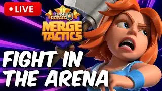 Merge Tactics push to Diamond!