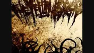 The yellow sign-Swamp