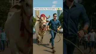 Goi&acirc;nia Big Bull 🇧🇷 Qurbani @TinyKitten64 @RandomStuffs757 @BilliLife @Dailyshorts436 #travel