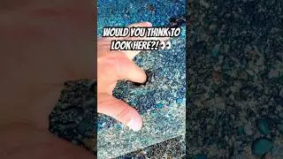 What Difficulty rating would you give this Geocache? It was only rated as a 2.0 Difficulty!