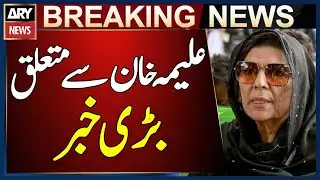 Big News From Court Regarding Aleema Khan | Breaking News