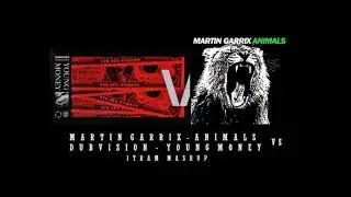 Martin Garrix - Animals  vs  DubVision - Young Money ( Hunor Mashup)