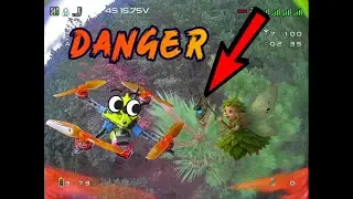 FPV Freestyle Bliss | 3