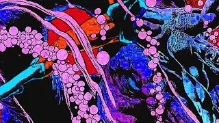 [FREE] Metaverse Type Beat - Duke Deuce 