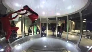 Shitfly