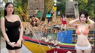 Explosion of ripe rice fields, ducks running in the fields in a hurry, a once in a lifetime scene