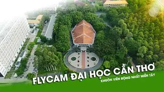Flycam Toàn Cảnh Trường Đại Học Cần Thơ - Góc Nhìn Đẹp Nhất