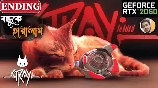 STRAY | BANGLA GAMEPLAY | ENDING | RTX 2060 | ULTRA MAX GRAPHICS | BD BABAJI GAMING