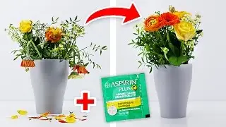 8 einfache Wege Blumen länger frisch zu halten!