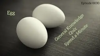 Egg - General Knowledge Quiz - 0030