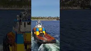 Gulf Titan Tugboat in Action | Powerful Tugboat Maneuvers in Puget Sound #GulfTitan #Tugboat