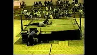 SSW Classic Brandi Wine vs. Lexie Fyfe