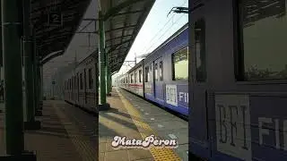 Commuter Train: Citizen Train #mataperon #camperon #australia #ironsnake